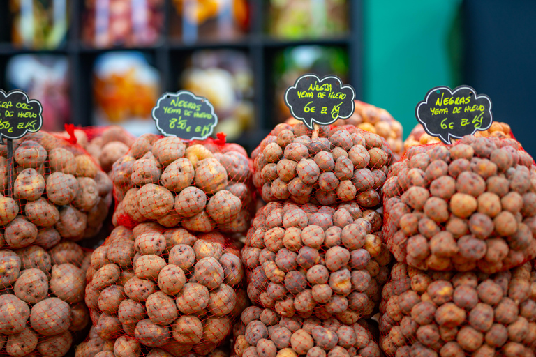 Baladerna Découverte La Laguna &amp; Anaga