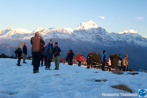 From Pokhara: 2-Day Short Poon Hill Trek