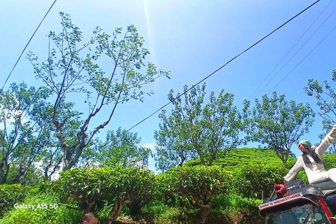 ELLA Lipton Seat Tea Test & Pluck 9Arch, Waterfalls, & Food Lipton's Seat, Little Adam Peak, 9 Arch, Ravana Waterfalls