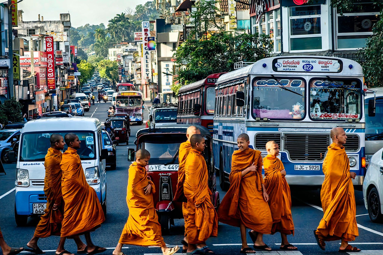 Kandy privet day tour z pinnawala i plantacją herbatyZaczynając od obszaru Negombo