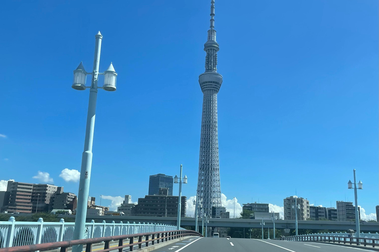 Tokyo: Private City Highlights Tour