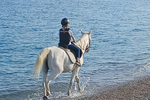 Faliraki/Afadou: Horse Ride to the Beach