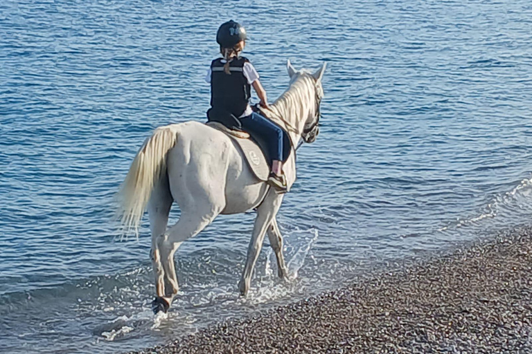 Faliraki/Afadou: Horse Ride to the Beach