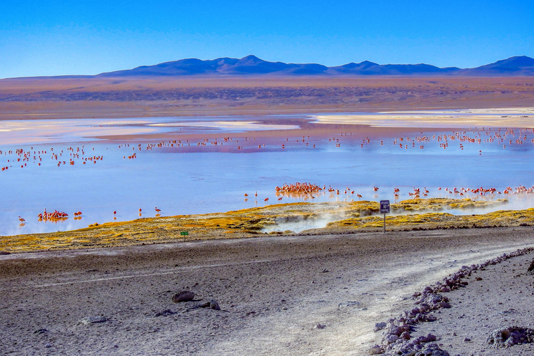 City of La Paz | 4-Day Uyuni Expedition to San Pedro Atacama Tour with Spanish-speaking driver