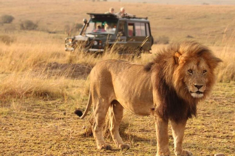 Au départ de Mombasa : Safari de 3 jours dans le parc national de Tsavo West - Ngulia