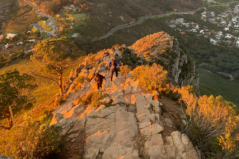 Cape Town: Lion's Head Guided Sunrise/Sunset Hike