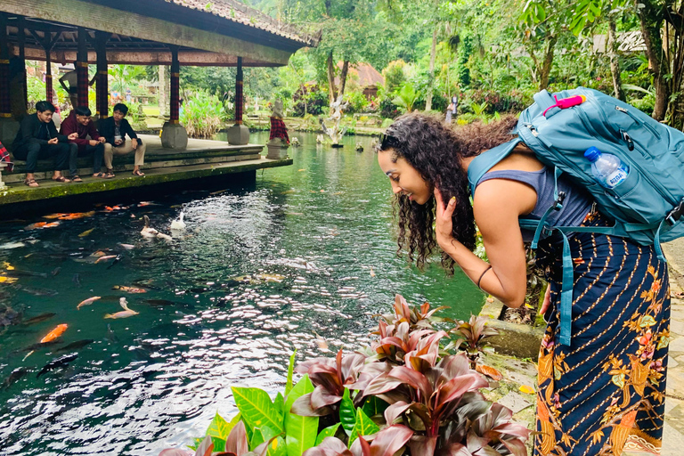 Ubud privato: Cascate, tempio dell&#039;acqua, terrazza di risoTour di un giorno (10-12 ore di tour), escluse le tariffe dei biglietti d&#039;ingresso