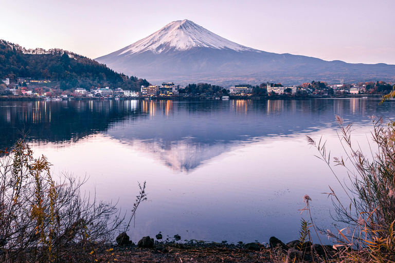 From Tokyo: Mount Fuji Full Day Customizable Private Tour