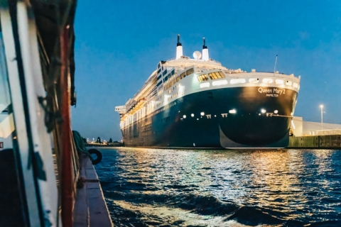 Hamburgo: Crucero nocturno de 1,5 horas por el Gran Puerto