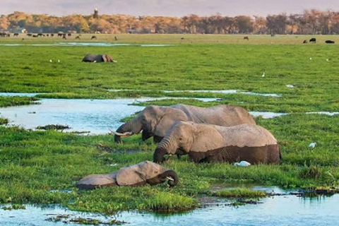 Tour di un giorno del Parco Nazionale di Amboseli e visita al villaggio Maasai