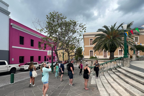 Viejo San Juan: tour a pie con compras y traslado al hotel