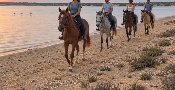 Monastir: Scenic Flamingo Lake Horseback Ride with Pickup