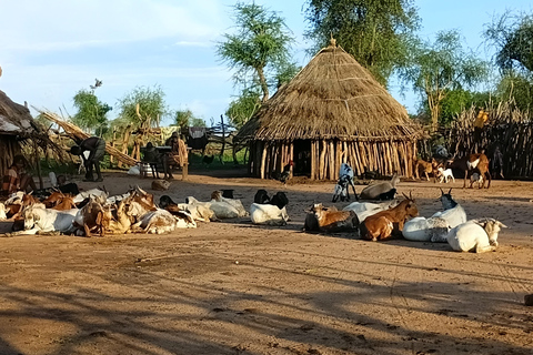 5-Day: Omo Valley & Borena Tribal tour from Jinka to Yabelo