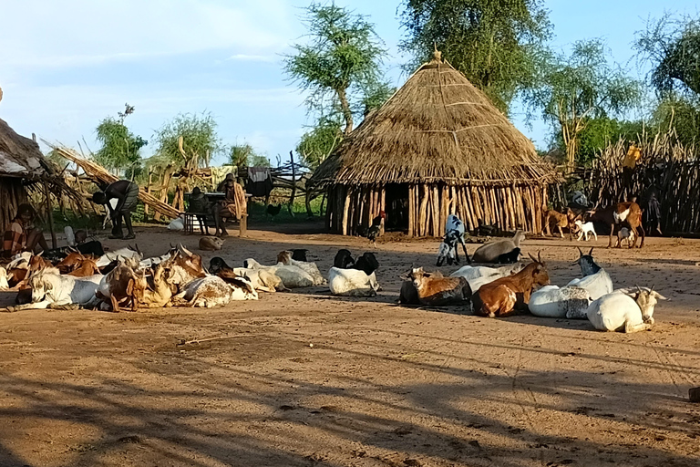 5-Day: Omo Valley & Borena Tribal tour from Jinka to Yabelo