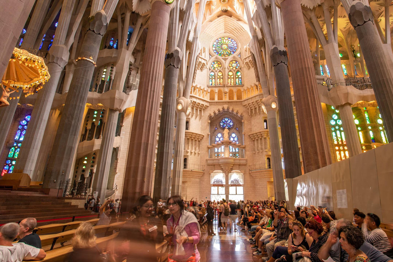 Ontdek de Sagrada Familia: Gaudí&#039;s ontwerpen en museumtentoonstellingen