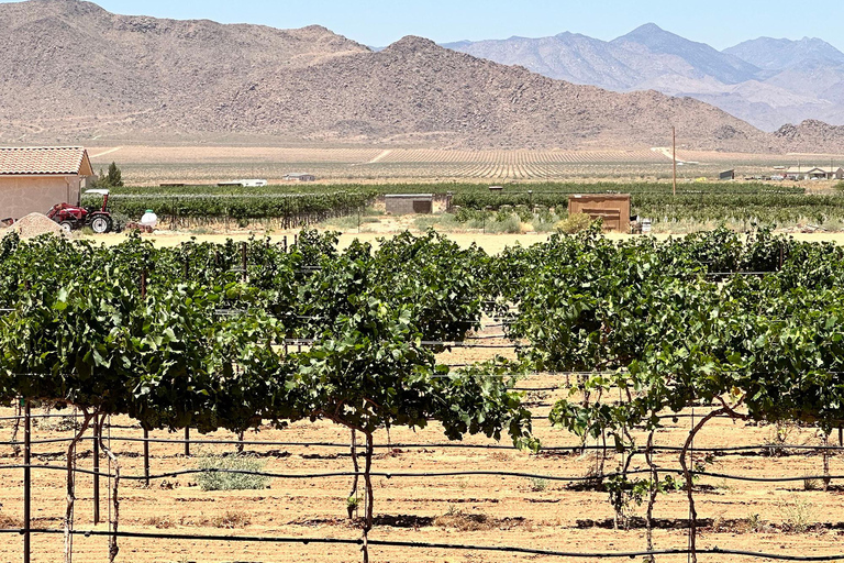 Vino del deserto, degustazioni di distillerie/birrerie/RT66 e pranzoRitiro a Las Vegas