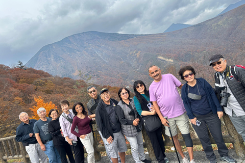 Tour privato di Nikko da e per Tokyo fino a 12 ospitiTour privato di Nikko da e per Tokyo fino a 12 persone