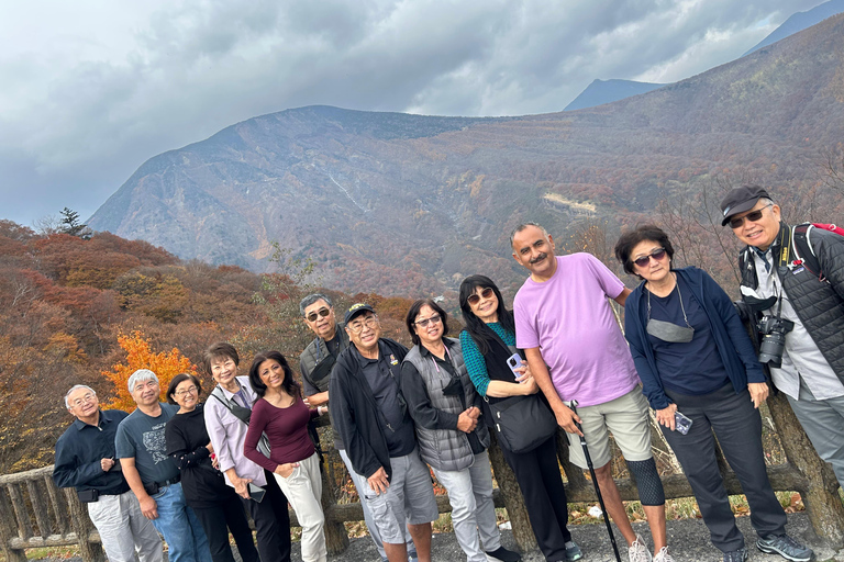 Visite privée de Nikko au départ et à destination de Tokyo jusqu&#039;à 12 personnes