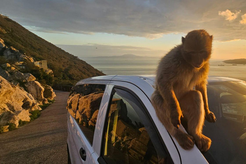 Gibraltar: Deluxe Rock Tour with Nature Reserve Entry