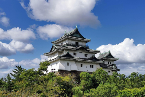 Tour privato personalizzato e autoguidato di un giorno a Wakayama