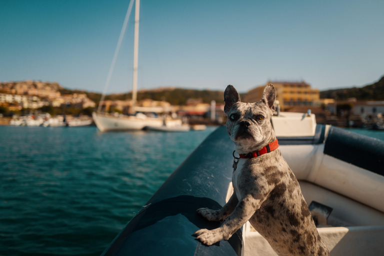 La Maddalena &amp; Lavezzi : plongée sous-marine pour les plongeurs certifiés.