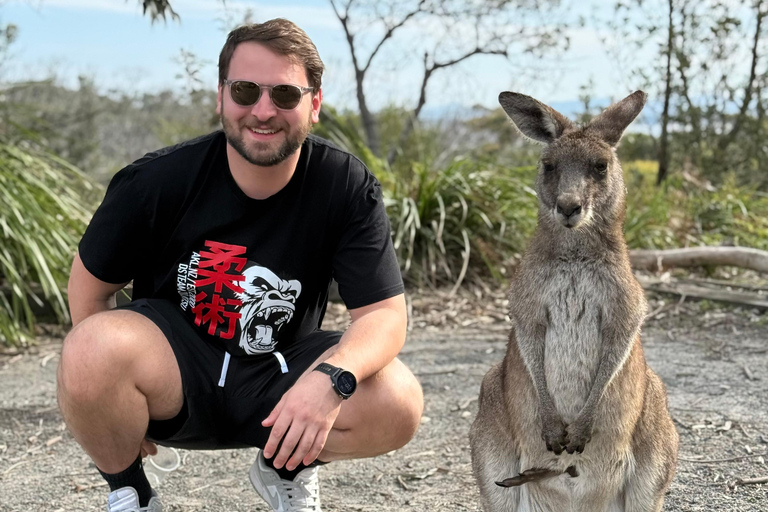 Sydney: Jervis Bay & South Coast Small Group Sydney: Jervis Bay & South Coast Small Group Wild Kangaroos