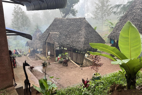 Materuni Waterfalls and Coffee Day Tour