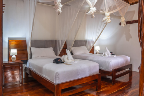 Amazon Adventure: 4 Days of Nature &amp; Culture from Quito