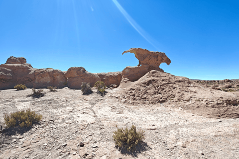 Uyuni: Full-day Flamingo tour Uyuni: Full-day Flamingo Tour