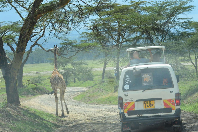 Tsavo Amboseli & Tsavo Expedition Safari Tour