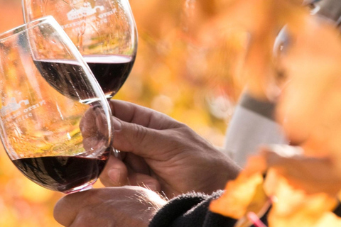 Degustacja wina w Lizbonie