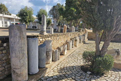 Excursión de un día a Cartago y Sidi Bou Said