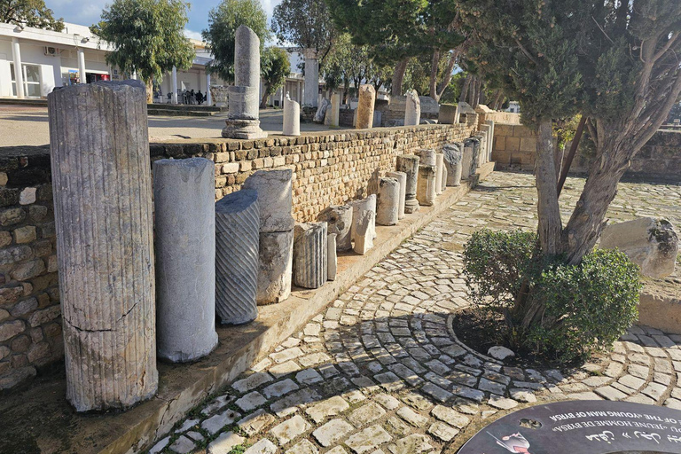 Excursión de un día a Cartago y Sidi Bou Said