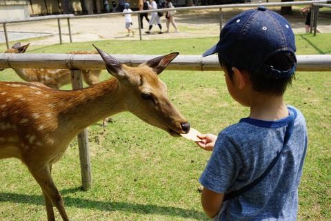 Z Osaki/Kioto: Wycieczka do Arashiyama, parku Nara i świątyni FushimiWylot z Osaki