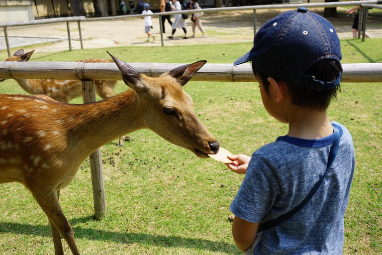Z Osaki/Kioto: Wycieczka do Arashiyama, parku Nara i świątyni FushimiWylot z Osaki