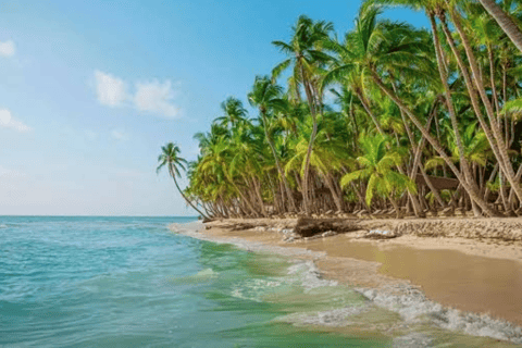 From Punta Cana: Saona Island Day Trip with Lunch & Drinks