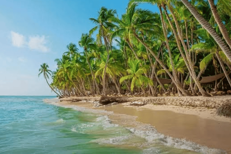 From Punta Cana: Saona Island Day Trip with Lunch & Drinks