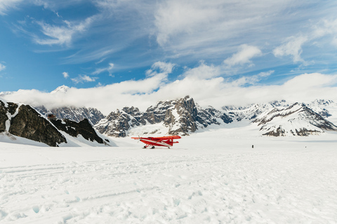Talkeetna: Grand Denali Flight with Optional Glacier Landing Flight Only