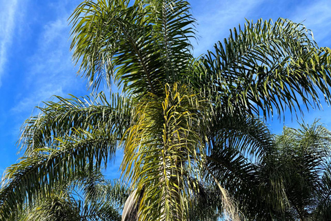 Maldonado: walking tour through nature park including beautiful views