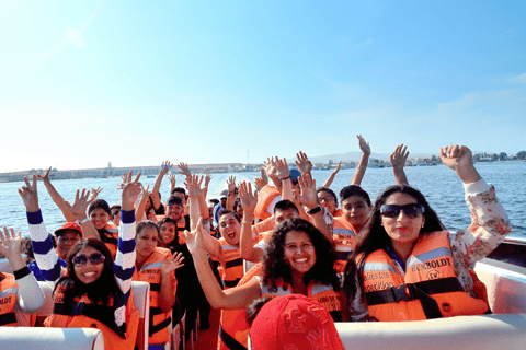 From Lima: Paracas, Ica, and Huacachina Day Tour