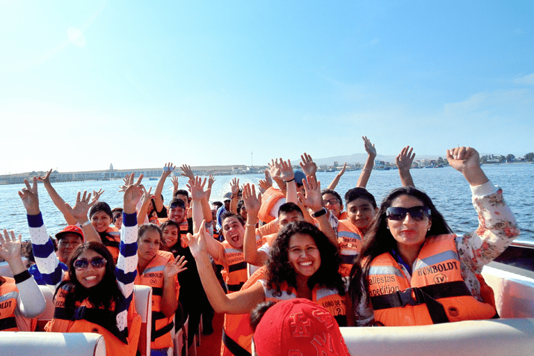 From Lima: Paracas, Ica, and Huacachina Day Tour