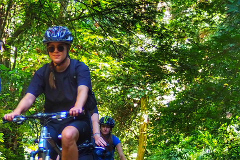 Moshi: Rau Forest Guided Bike Tour