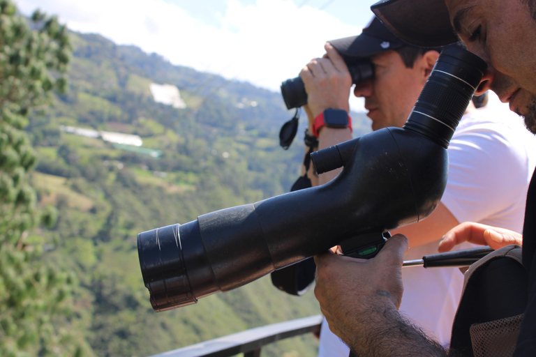 90 min de Monserrate: sabores do café, aves e cultura com guia localDescobre o encanto da Colômbia: Experiência de café e observação de aves perto de Bogotá