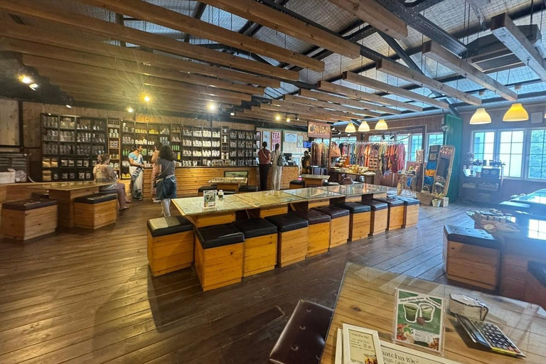 Kandy: Royal Botanical Garden & Tea Factory Tour Pick & Drop Without Entry Ticket in Royal Botanical Garden