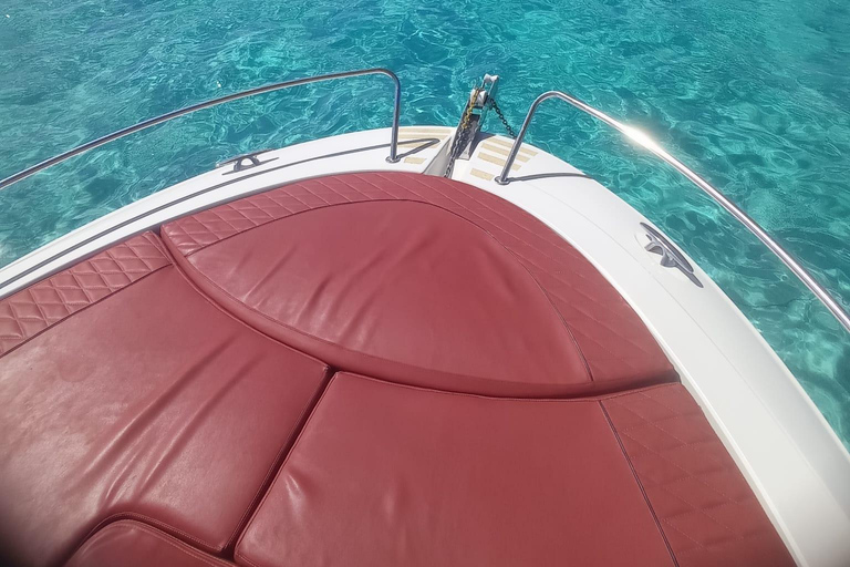 Circuit : &quot;Ibiza-Formentera&quot; depuis la mer en bateau privé