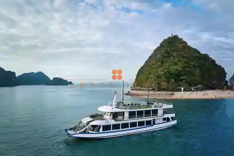 Delicias de la Bahía de Halong: Crucero de Lujo de un Día con Kayak y Almuerzo