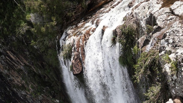 Visit Byron Bay Minyon Falls - Explore the Rainforest in Byron Bay, New South Wales