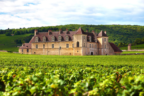 Genève : Visite guidée des vignoblesTOUR DU VIN