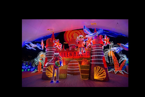 Medellín: Christmas Lights Tour