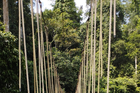 أكرا: جولة إرشادية لمدة 7 أيام للتعرف على التاريخ والتراث في غانا
